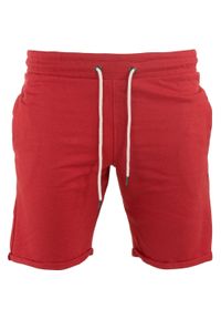 THE RUNNING REPUBLIC - Szorty męskie THE PEOPLE REP. Emo Czerwone, rozmiar S. Kolor: czerwony. Długość: krótkie. Sezon: lato. Sport: bieganie #1