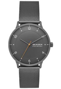 Skagen - Zegarek Męski SKAGEN Riis SKW6884