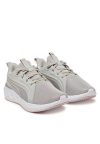 Puma Buty do biegania Softride Carson 310154 14 Szary. Kolor: szary. Materiał: materiał