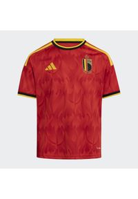 Adidas - Koszulka Belgium 26 Home Kids. Kolor: wielokolorowy, żółty, czerwony. Technologia: ClimaCool (Adidas). Sport: piłka nożna #1