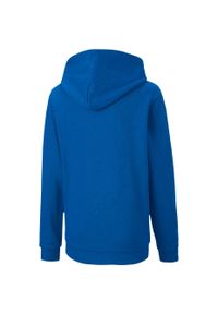 Bluza dla dzieci Puma teamGOAL 23 Casuals Hoody Jr niebieska. Kolor: niebieski #2