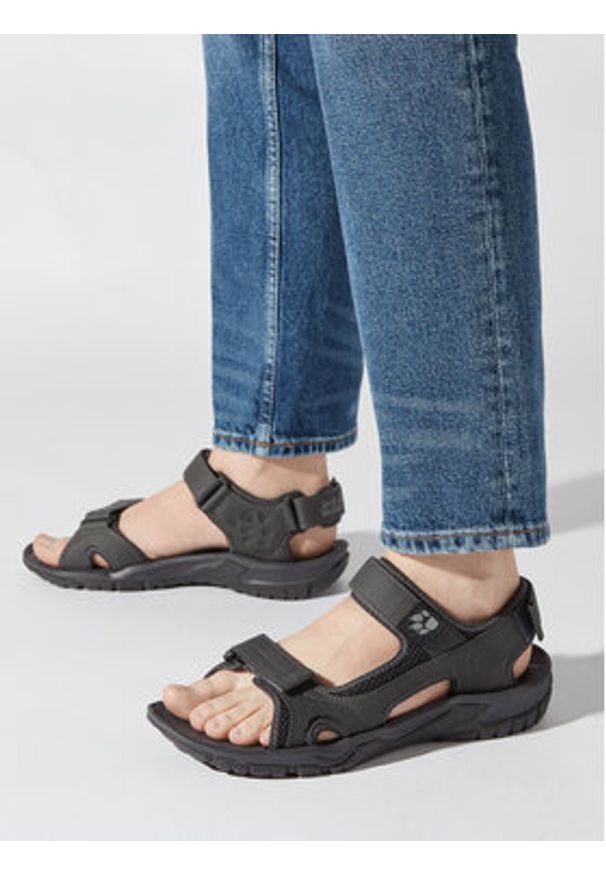 Jack Wolfskin Sandały Lakewood Cruise Sandal M 409011 Szary. Kolor: szary. Materiał: skóra