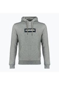 Bluza męska Napapijri B-Suze H. Kolor: szary