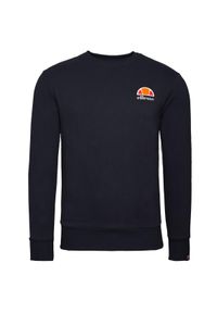 Bluza sportowa męska Ellesse. Kolor: niebieski