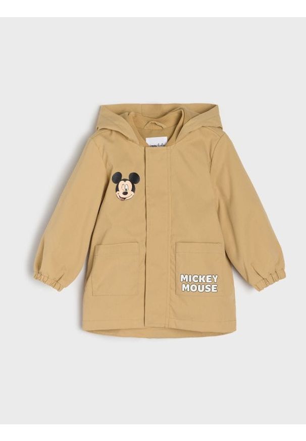 Sinsay - Kurtka z kapturem Mickey Mouse - Inny. Typ kołnierza: kaptur. Wzór: motyw z bajki