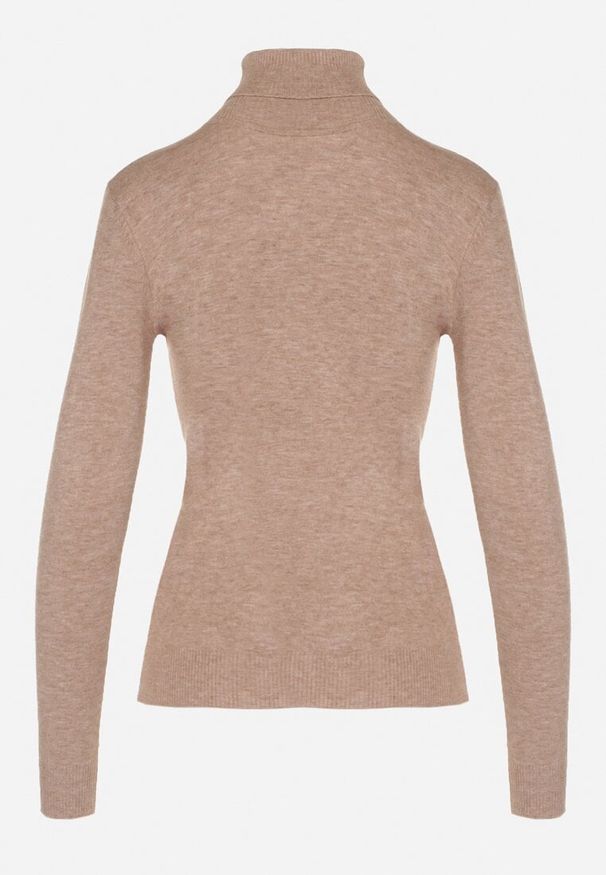 Born2be - Beżowy Klasyczny Golf z Bawełną Reilisea. Okazja: na co dzień. Typ kołnierza: golf. Kolor: beżowy. Materiał: bawełna. Styl: klasyczny