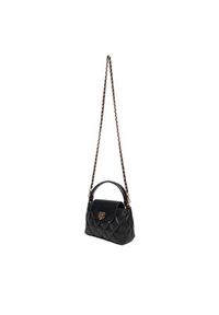 Aldo Torebka Triraderr 14143923 Czarny. Kolor: czarny. Materiał: skórzane