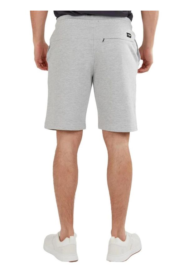 FUNDANGO - Spodenki fitness męskie Fundango Delon Sweatshort. Kolor: szary. Materiał: poliester, bawełna. Wzór: haft. Sport: fitness