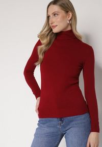 Born2be - Bordowy Klasyczny Golf z Bawełną Reilisea. Okazja: na co dzień. Typ kołnierza: golf. Kolor: czerwony. Materiał: bawełna. Styl: klasyczny #4