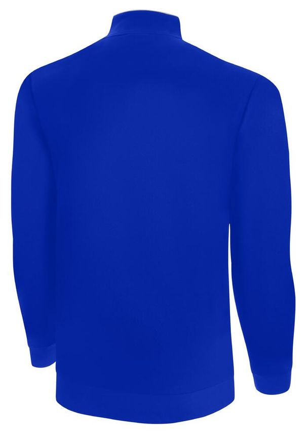 CAPELLI SPORT - Bluza piłkarska dziecięca Capelli Basics Youth Training. Kolor: biały, niebieski, wielokolorowy. Sport: piłka nożna