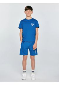 Big-Star - Koszulka chłopięca z nadrukiem niebieska Rafer 402. Okazja: na co dzień, na uczelnię. Kolor: niebieski. Materiał: dzianina, jeans. Wzór: nadruk. Styl: casual, klasyczny, sportowy #5