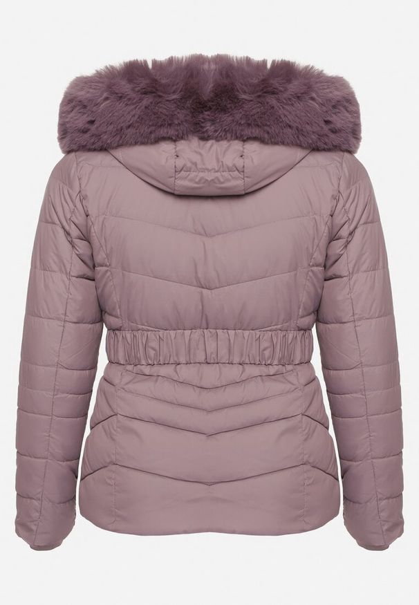 Born2be - Ciemnofioletowa Pikowana Kurtka Zimowa z Paskiem i Kapturem z Futrem z Możliwością Odpięcia Toriella. Okazja: na co dzień. Kolekcja: plus size. Kolor: fioletowy. Długość: długie. Wzór: aplikacja. Materiał: futro. Długość rękawa: długi rękaw. Sezon: zima. Styl: wizytowy, elegancki, casual