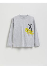 Reserved - Longsleeve z nadrukiem - jasnoszary. Kolor: szary. Materiał: bawełna, dzianina. Długość rękawa: długi rękaw. Wzór: nadruk