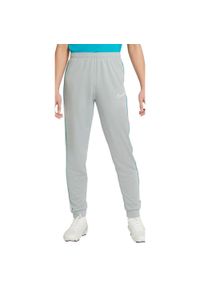 Spodnie dla dzieci Nike NK DF Academy Trk Pant Kp Fp Jb szare CZ0973 019. Kolor: wielokolorowy