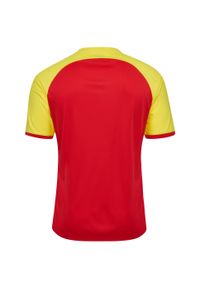 Koszulka dla dzieci Hummel League. Kolor: czerwony. Sport: piłka nożna #2