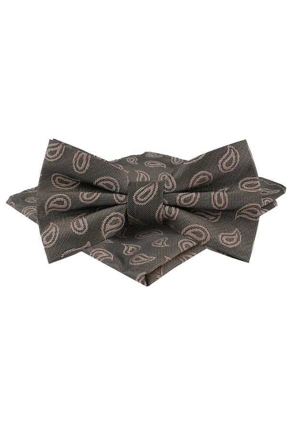 Mucha Męska w Zestawie z Poszetką - Alties - Popiel i Brąz, Paisley. Kolor: beżowy, wielokolorowy, brązowy. Wzór: paisley. Styl: elegancki, sportowy