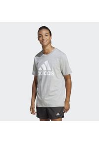 Adidas - Koszulka męska adidas Essentials Single Jersey Big Logo Tee. Kolor: szary, biały, wielokolorowy. Materiał: jersey