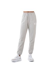 Spodnie Jordan Essentials DD7001-012 - szare. Kolor: szary. Materiał: bawełna, dresówka, materiał. Wzór: aplikacja. Sezon: zima, jesień