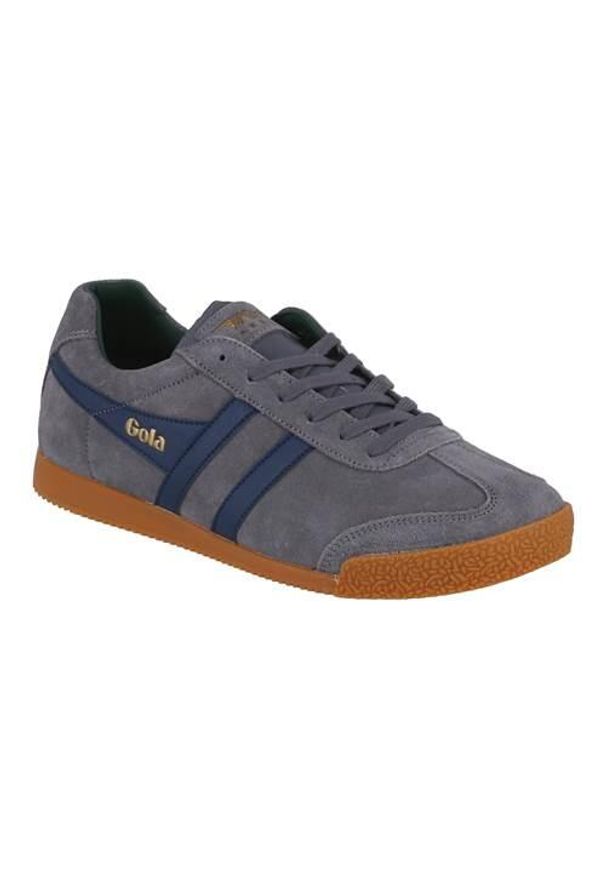 Buty do chodzenia męskie Gola Harrier. Zapięcie: sznurówki. Kolor: niebieski, wielokolorowy. Materiał: zamsz, materiał, skóra. Szerokość cholewki: normalna. Sport: turystyka piesza