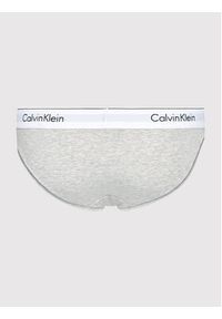 Calvin Klein Underwear Figi klasyczne 0000F3787E Szary. Kolor: szary. Materiał: bawełna