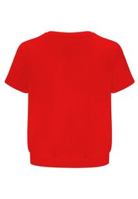 LA MANIA - Krótki czerwony t-shirt Zion. Okazja: na co dzień. Kolor: czerwony. Materiał: bawełna. Długość: krótkie. Styl: klasyczny, casual, sportowy #5