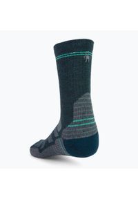 Skarpety Smartwool Performance Hike Light Cushion Crew Women. Kolor: zielony, niebieski, wielokolorowy