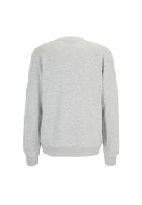 Fila - Bluza męska FILA Brustem Crew Sweat. Kolor: szary