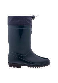 BEJO - Kalosze Bejo Kai Wellies Jr 92800432333 niebieskie. Wysokość cholewki: przed kolano. Kolor: niebieski. Materiał: poliester. Szerokość cholewki: normalna #3