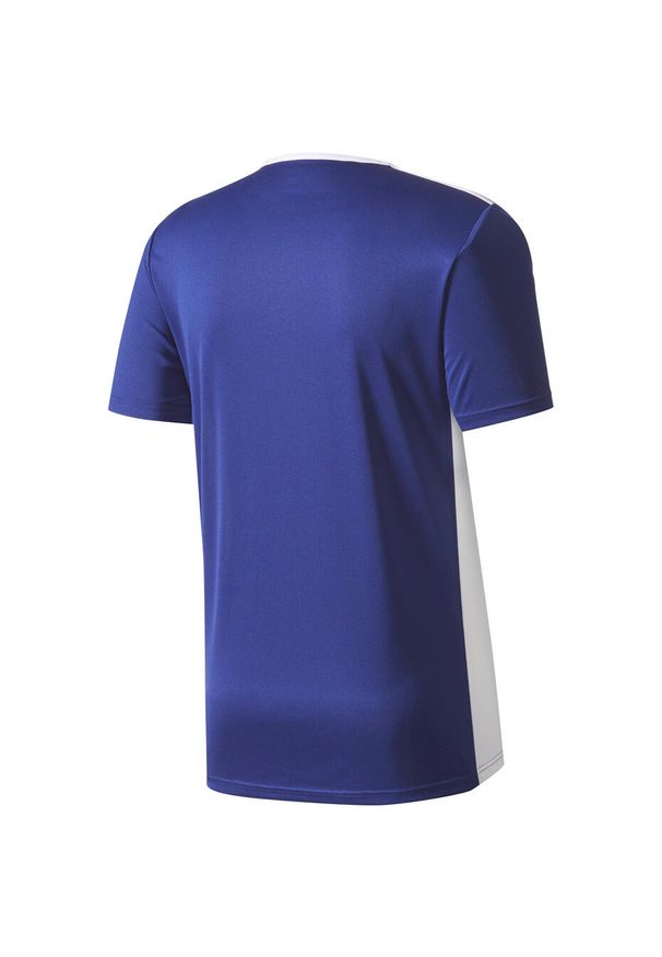 Adidas - Koszulka piłkarska męska adidas Entrada 18 Jersey. Kolor: biały, wielokolorowy, niebieski. Materiał: poliester. Sport: piłka nożna