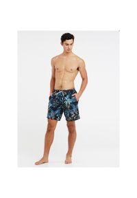 Spodenki męskie Protest PRTDORSET beachshort. Kolor: niebieski