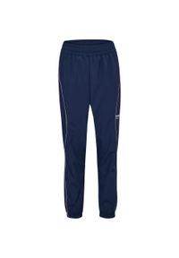Dziecięce spodnie dresowe Hummel. Kolor: niebieski, zielony, wielokolorowy. Materiał: dresówka. Sport: joga i pilates