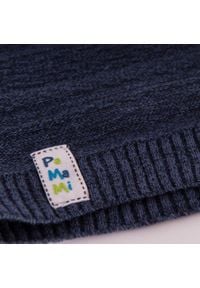 Wiosenna czapka chłopięca PaMaMi - Granatowy. Kolor: niebieski. Materiał: elastan, bawełna. Sezon: wiosna #3