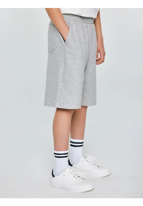 Big-Star - Szorty chłopięce dresowe szare Doner 901. Kolor: szary. Materiał: dresówka. Wzór: haft. Styl: klasyczny, sportowy