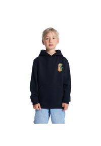 DC Shoes - Bluza z kapturem dla Chłopcy INSERT A COIN Czarny. Typ kołnierza: kaptur. Kolor: czarny. Materiał: tkanina, poliester, bawełna. Sport: skateboard #1