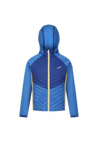 Regatta - Kurtka Dziecięca/dziecięca Kielder Hybrid VII Padded Jacket. Kolor: niebieski