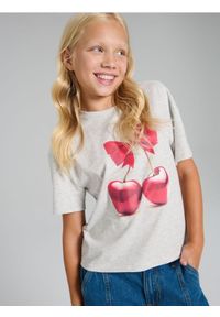 Sinsay - Koszulka z nadrukiem - szary. Kolor: szary. Wzór: nadruk #1