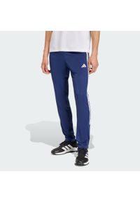 Adidas - Spodnie Dzianinowe Workout Essentials All-Set 3 Paski. Kolor: niebieski, wielokolorowy, biały. Materiał: dzianina. Technologia: ClimaCool (Adidas). Wzór: paski. Sport: fitness #1