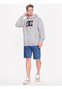 DC Shoes Bluza ADYSF03099 Szary Regular Fit. Kolor: szary. Materiał: bawełna #4