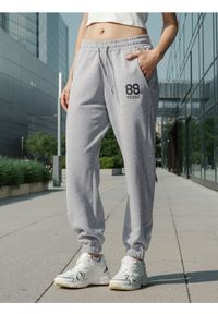 Sinsay - Spodnie dresowe z napisem - szary. Kolor: szary. Materiał: dresówka. Wzór: napisy