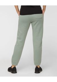 Peak Performance - Spodnie dresowe PEAK PERFORMANCE ORIGINAL PANT. Kolor: wielokolorowy, zielony, szary. Materiał: dresówka. Wzór: napisy