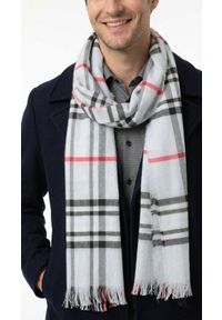 Lekki Szalik Przejściowy - V. Fraas - Popiel w Kratę - 2gi gatunek. Materiał: tkanina, poliester, materiał. Sezon: wiosna, jesień, lato #5