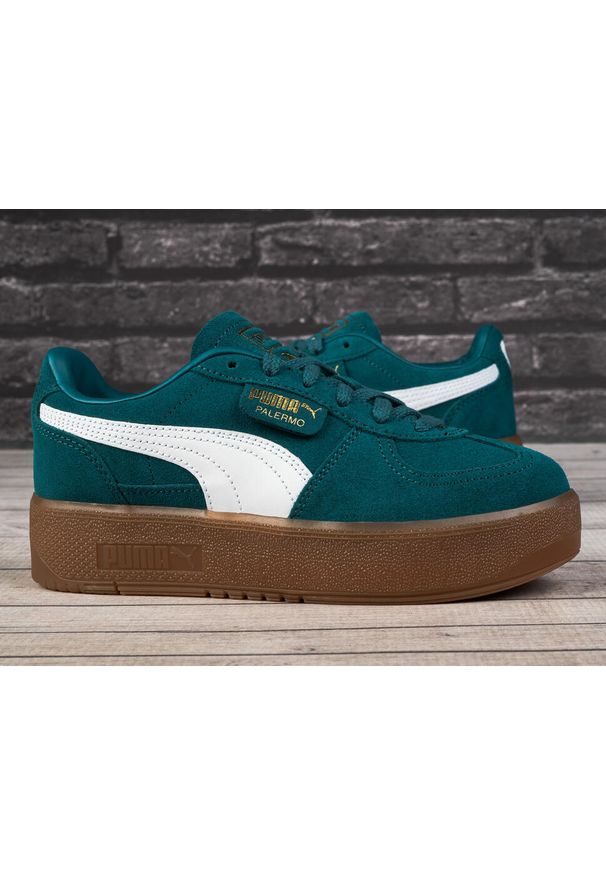 Buty sportowe damskie Puma PALERMO ELEVATA. Kolor: zielony. Sport: turystyka piesza