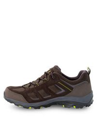 Jack Wolfskin Trekkingi Vojo 3 Texapore Low M 4042441 Brązowy. Kolor: brązowy. Materiał: materiał. Sport: turystyka piesza #3