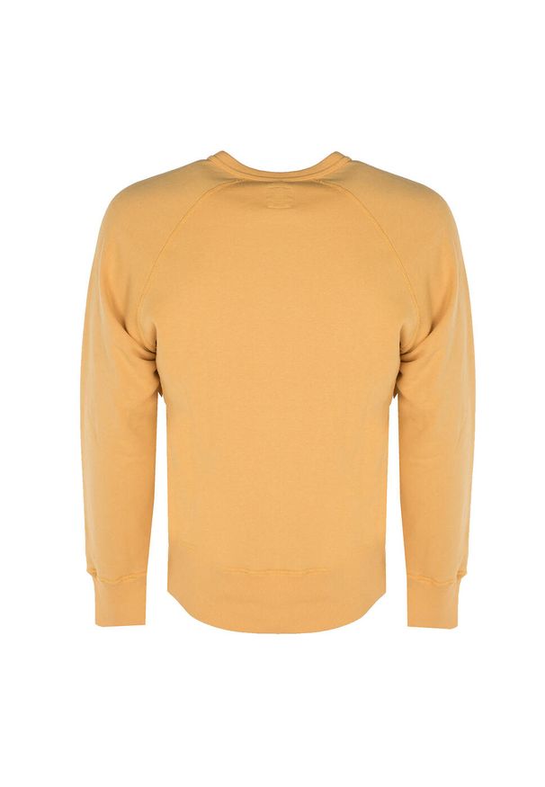 Champion - Bluza trekking męska. Typ kołnierza: bez kaptura. Kolor: żółty. Materiał: bawełna, poliester. Sport: turystyka piesza