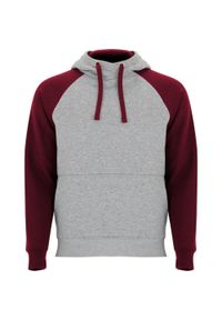 ROLY - Dziecięca Dwukolorowa Bluza Z Kapturem Badet Ze Sznurkiem. Typ kołnierza: kaptur. Kolor: czerwony, szary, wielokolorowy. Sport: joga i pilates #1