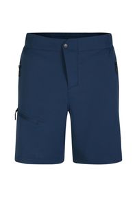 DARE 2B - Spodenki sportowe męskie Dare2B Torrek. Kolor: niebieski. Materiał: poliester, elastan. Długość: krótkie. Sport: turystyka piesza