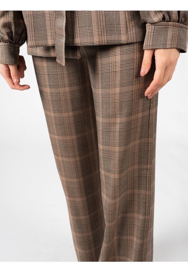 Pinko Spodnie "Barile" | 101013 8277 | Kobieta | Brązowy. Okazja: na co dzień. Stan: podwyższony. Kolor: brązowy. Materiał: wiskoza. Styl: retro, klasyczny, casual