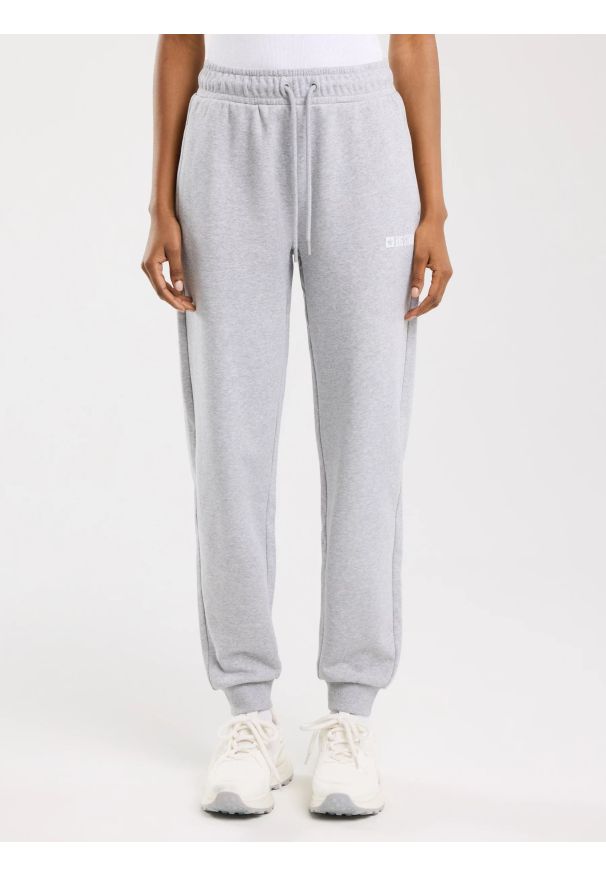 Big-Star - Spodnie damskie dresowe szare Kathy 901. Kolor: szary. Materiał: dresówka. Wzór: nadruk