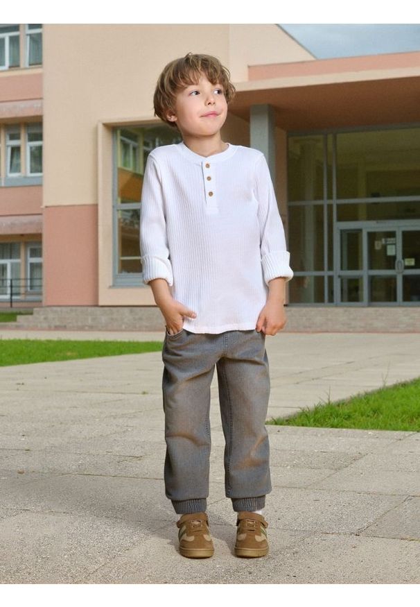 Sinsay - Jeansy joggers - szary. Kolor: szary. Materiał: jeans