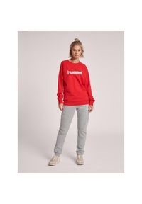 Bluza do piłki ręcznej damska Hummel Go Cotton Logo Sweatshirt Woman. Kolor: czerwony, wielokolorowy, różowy #1